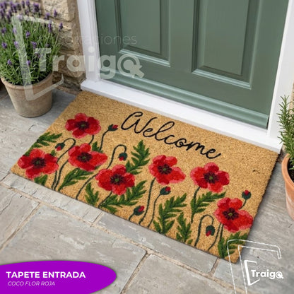 TAPETES ENTRADA