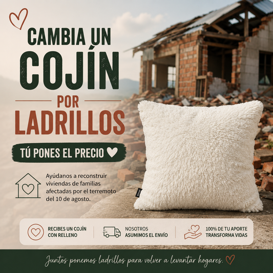 CAMBIA UN COJÍN POR LADRILLOS 🧱❤️