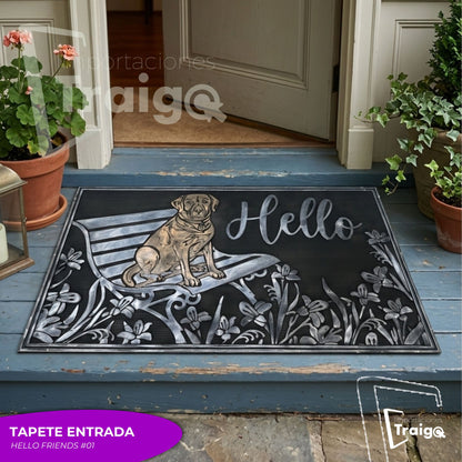 TAPETES ENTRADA
